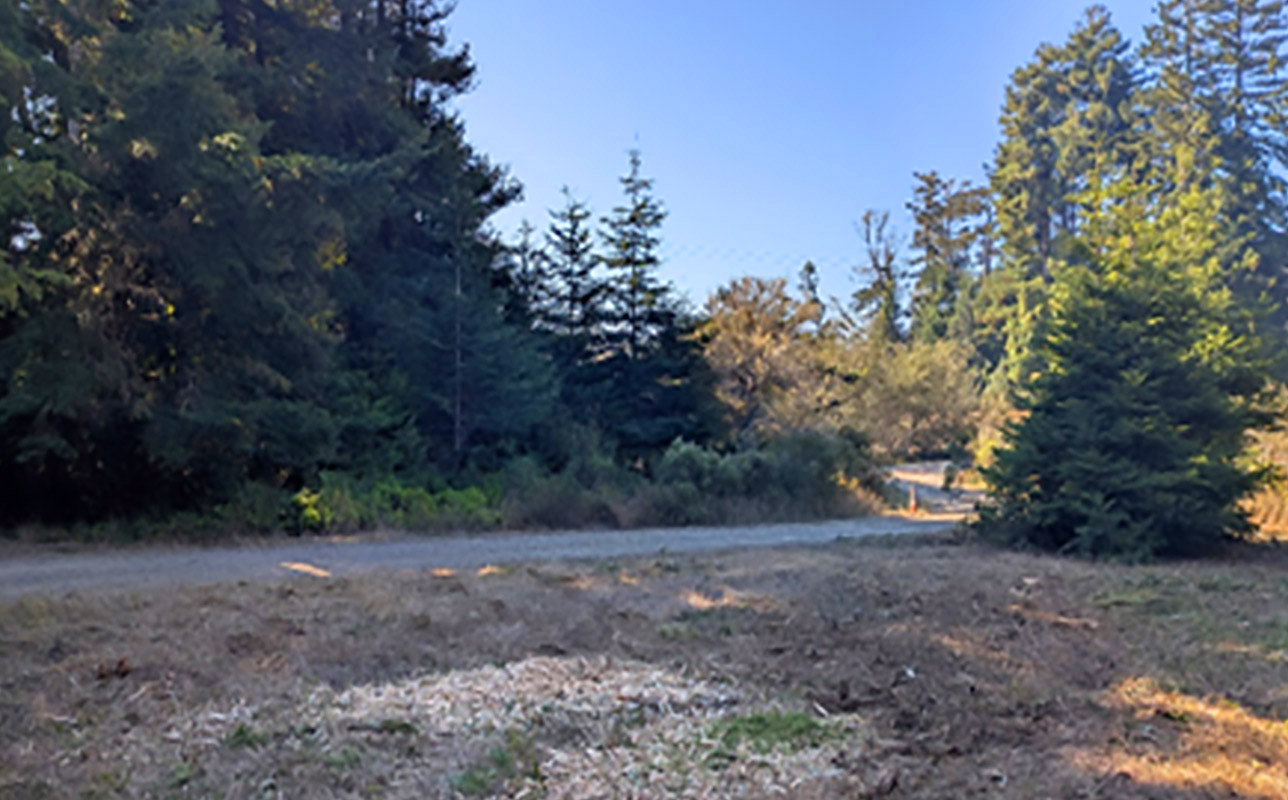 Best Real Estate Services