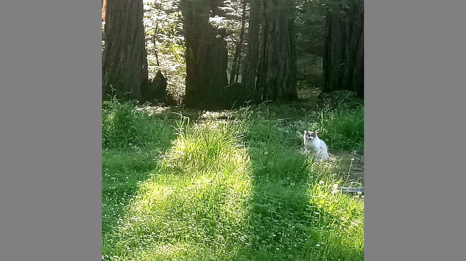 Best Real Estate Services